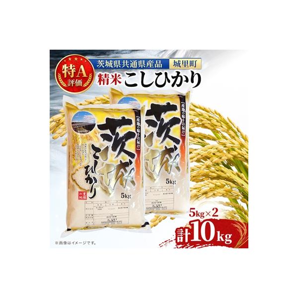 【令和7年産】特A評価 お米 コシヒカリ 精米 10kg(5kg×2) (茨城県共通返礼品/城里町)