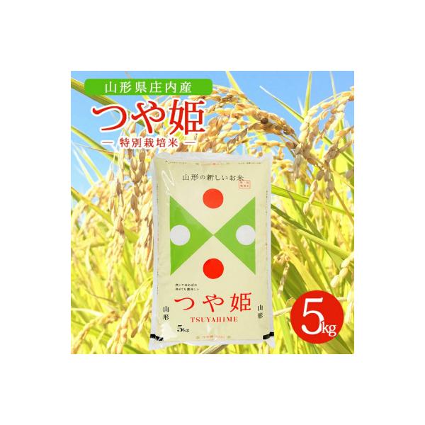 【令和7年産米】【山形県庄内産】特別栽培米 つや姫5kg×1袋 精米
