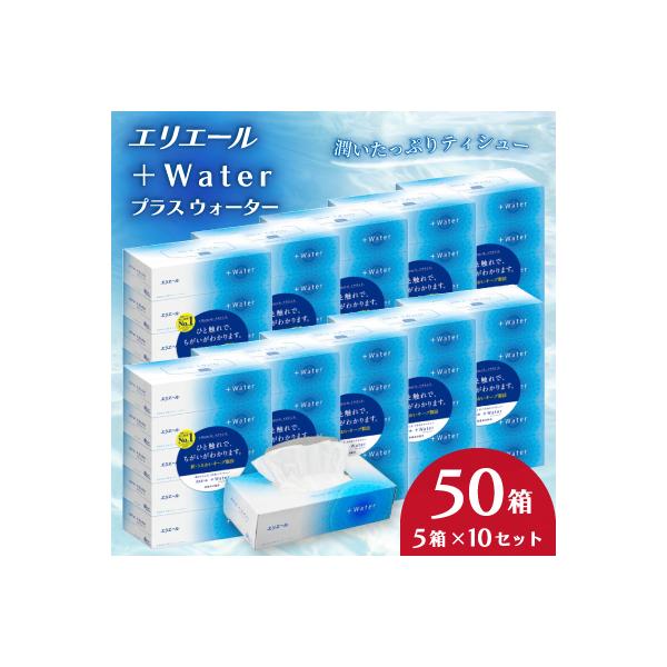 エリエール+Water　180W5箱×10セット