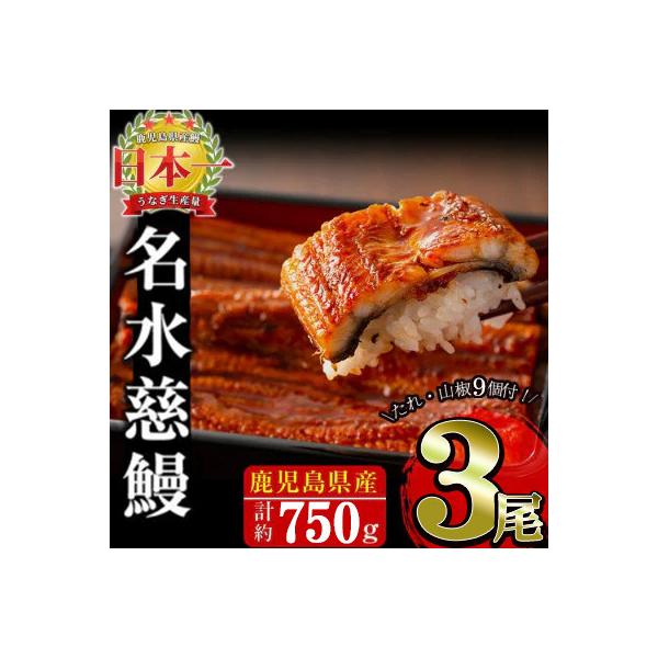 鹿児島県産うなぎ蒲焼 名水慈鰻 3尾(1尾約236～270g)《計約750g》