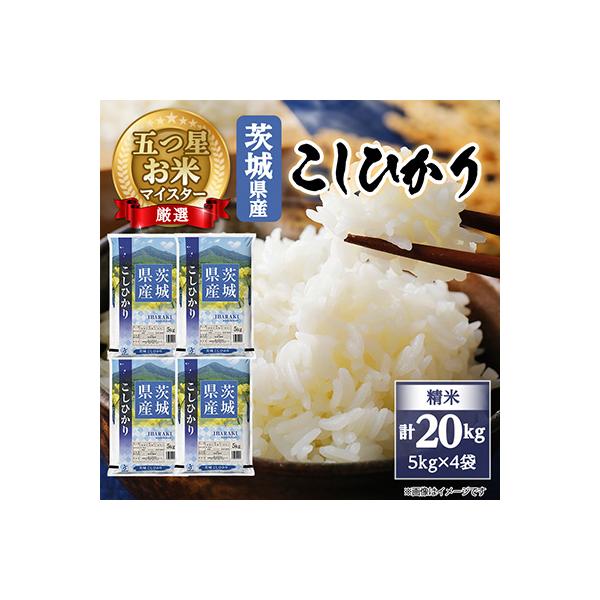 【令和7年産】 こしひかり 20kg (5kg×4袋) 精米 茨城県産 お米 マイスター厳選