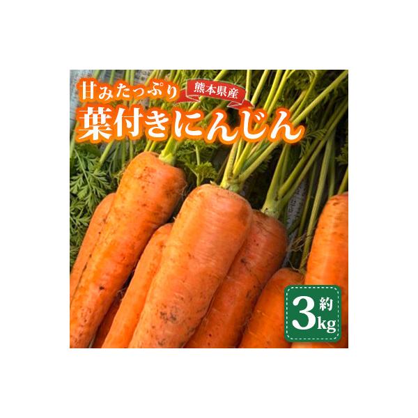 ■お礼品詳細　・配送種別：通常　・提供元：株式会社夢アグリ■お申し込み・配送・その他　・発送時期：2026-01-26〜2026-06-05(お届け時間帯指定可)　・申込受付期間：〜2026/05/31　・配達外のエリア：　・寄付証明書の送...