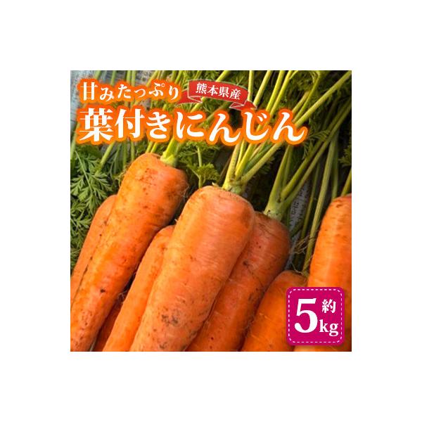 ■お礼品詳細　・配送種別：通常　・提供元：株式会社夢アグリ■お申し込み・配送・その他　・発送時期：2026-01-26〜2026-06-05(お届け時間帯指定可)　・申込受付期間：〜2026/05/31　・配達外のエリア：　・寄付証明書の送...