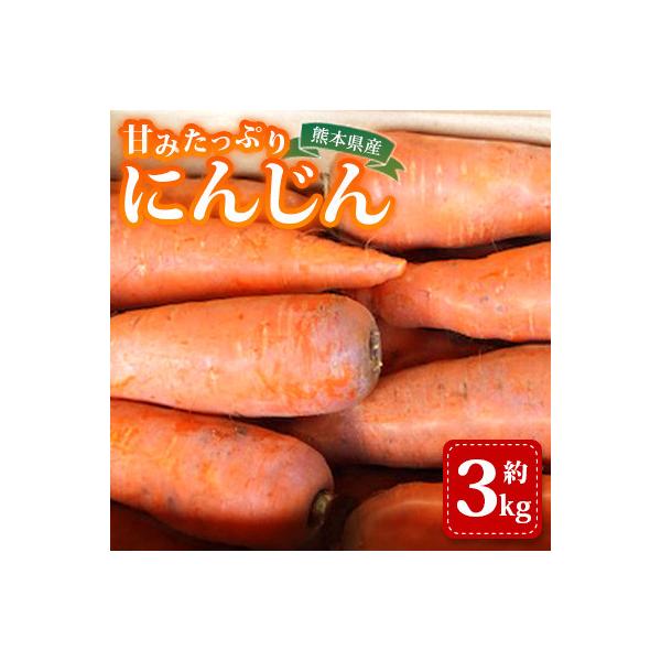 ■お礼品詳細　・配送種別：通常　・提供元：株式会社夢アグリ■お申し込み・配送・その他　・発送時期：2026-01-26〜2026-06-05(お届け時間帯指定可)　・申込受付期間：〜2026/05/31　・配達外のエリア：　・寄付証明書の送...