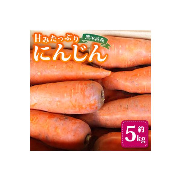 ■お礼品詳細　・配送種別：通常　・提供元：株式会社夢アグリ■お申し込み・配送・その他　・発送時期：2026-01-26〜2026-06-05(お届け時間帯指定可)　・申込受付期間：〜2026/05/31　・配達外のエリア：　・寄付証明書の送...