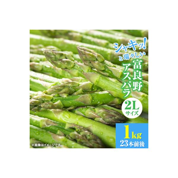 【2027年発送先行受付】北海道富良野産アスパラ　2L　1kg23本前後　ご贈答にも