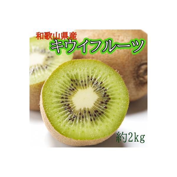 ■お礼品詳細　・配送種別：通常　・提供元：紀美野町厳選館■お申し込み・配送・その他　・発送時期：2026/11/23〜2027/02/28(お届け時間帯指定可)　・申込受付期間：〜2027/02/14　・配達外のエリア：　・寄付証明書の送付...