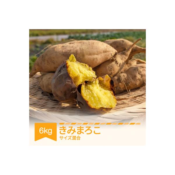ふるさと納税 村山市 きみまろこ 6kg (土付き)
