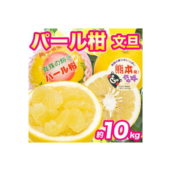 宇城市 【先行予約 2月初旬から】宇城市特産! 秀品 パール柑 文旦 12〜36玉 約10kg(宇城市)