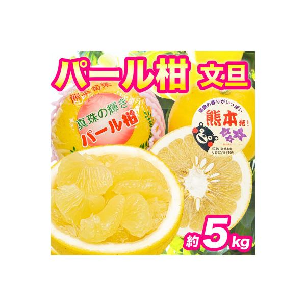 宇城市 【先行予約 2月初旬から】宇城市特産! 秀品 パール柑 文旦 6〜18玉 約5kg(宇城市)