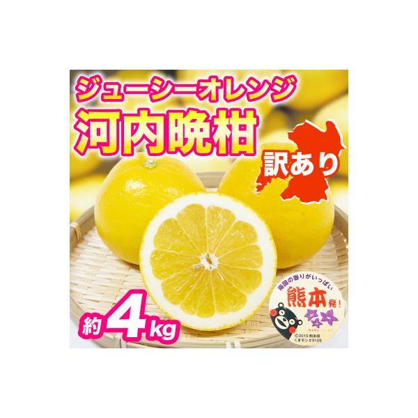 宇城市産 みかん 約4kg