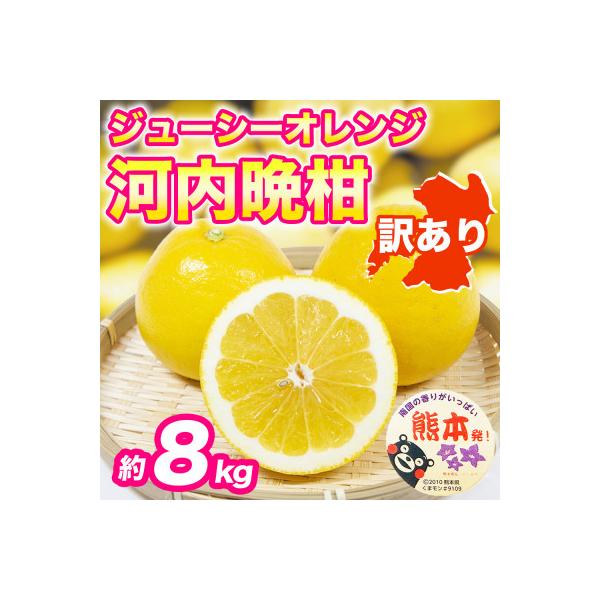 宇城市 【先行予約】宇城市産 訳あり 河内晩柑 (ジューシーオレンジ) みかん 約8kg(宇城市)