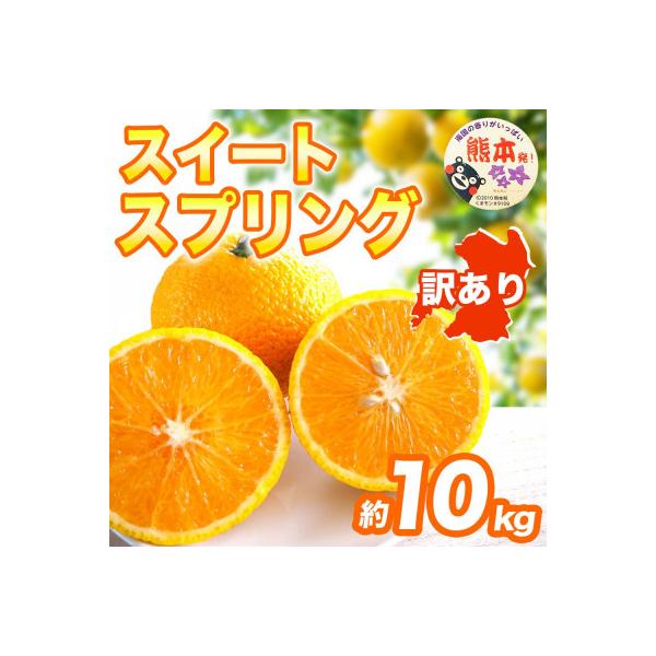 宇城市産 みかん 約10kg