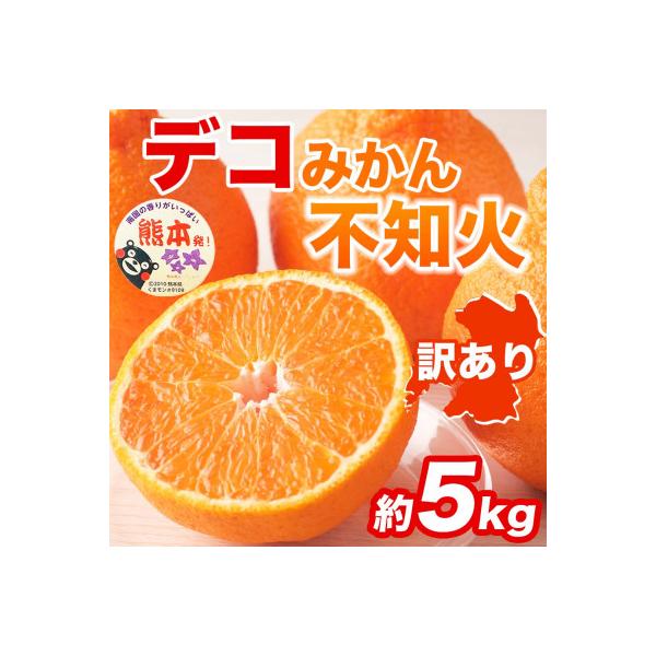 宇城市産 不知火・デコポン 約5kg