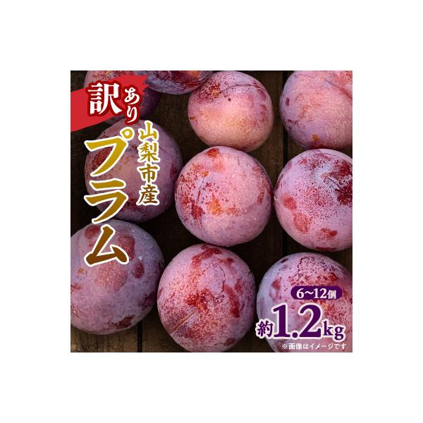 【2026年発送】訳ありプラム(すもも) 約1.2kg(6～12個)