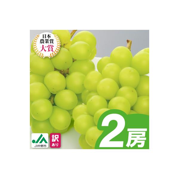 【2026年発送】訳ありシャインマスカット2房1kg以上　JA中野市から産直