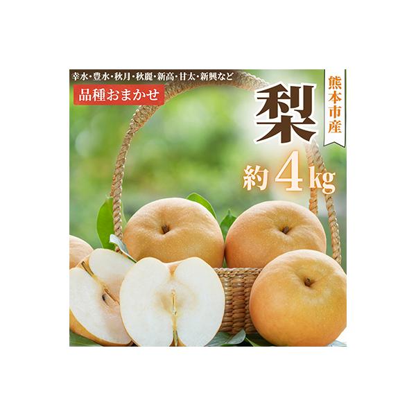 【2026年8月上旬～9月下旬発送予定】熊本市産 梨(幸水・豊水・秋月・秋麗・新高など) 約4kg