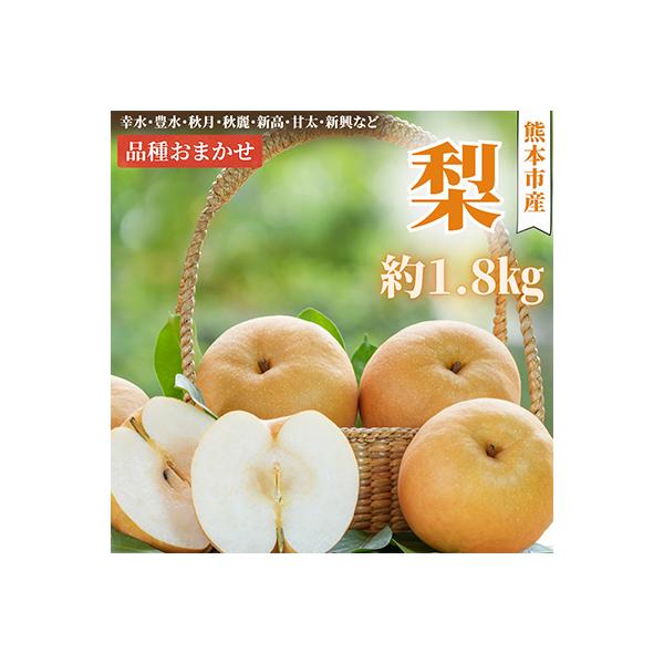【2026年8月上旬-10月中旬発送予定】熊本市産 梨(品種おまかせ) 約1.8kg(熊本市)