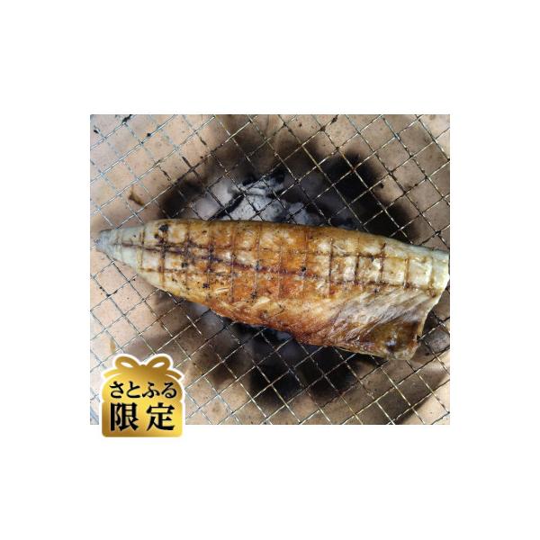 【さとふる限定】【訳あり】無塩冷凍さばフィーレ小サイズ 計4kg 千葉県銚子市産