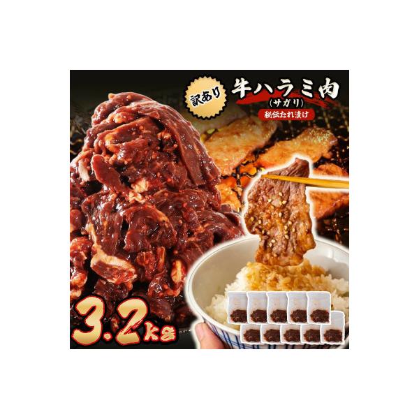 秘伝たれ漬け 訳あり 柔らか牛ハラミ(サガリ)肉 味付け合計3.2kg 小分け10パック