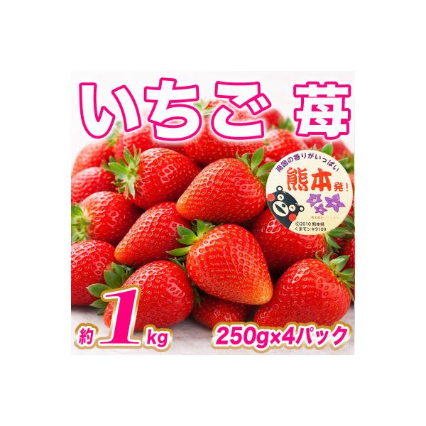 菊池市産 いちご 約250g〜1kg
