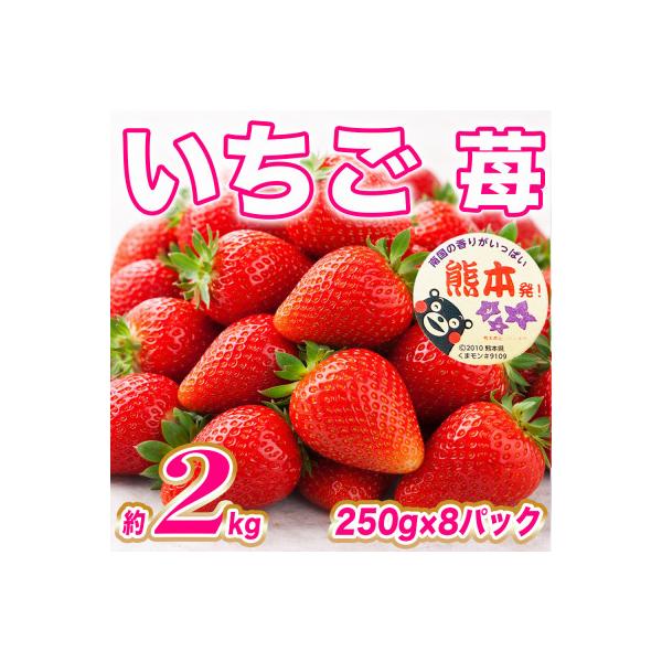 山鹿市産 いちご 約250g〜2kg