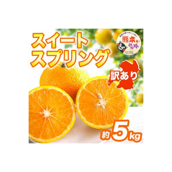 山鹿市 【先行予約】 熊本県産 季節限定 訳あり スイートスプリング みかん 約5kg(山鹿市)