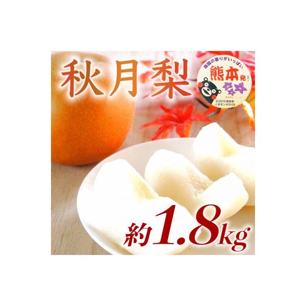 山鹿市産 梨 約1.8kg