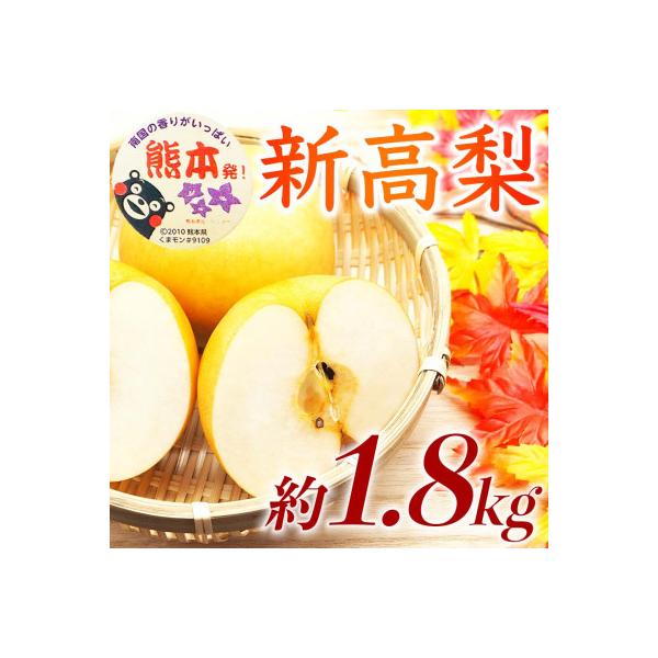 山鹿市産 梨 約1.8kg