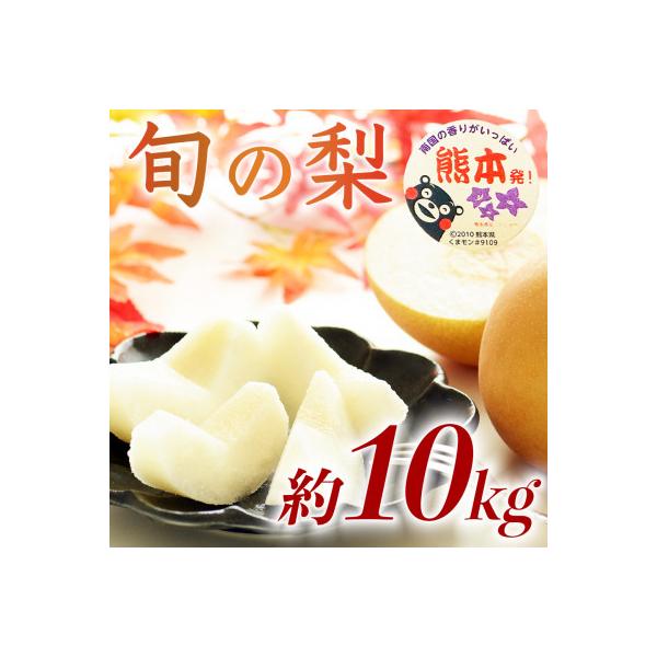 荒尾市産 梨 約10kg