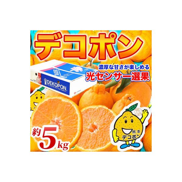 和水町産 不知火・デコポン 約5kg