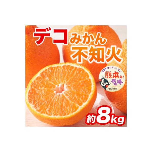 和水町産 不知火・デコポン 約8kg