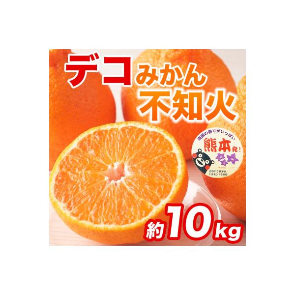 和水町産 不知火・デコポン 約10kg