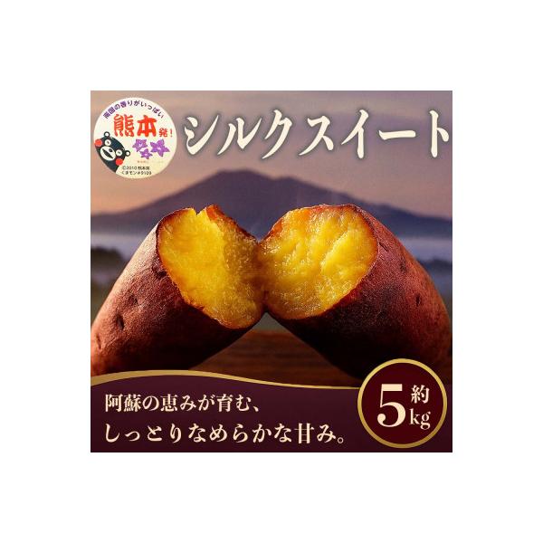 菊池市産 さつまいも 約5kg