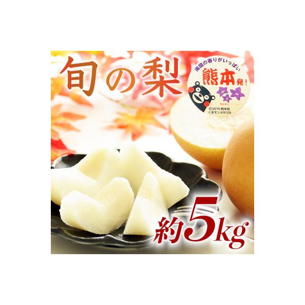 和水町産 梨 約5kg