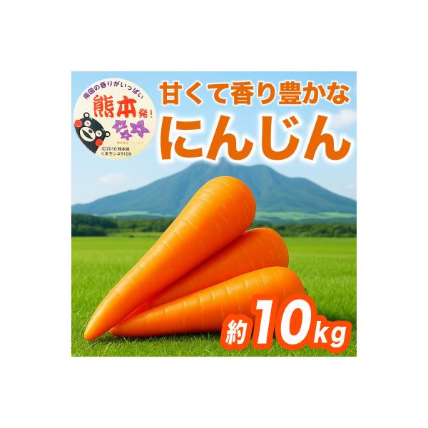 大津町 にんじん 約10kg(大津町)