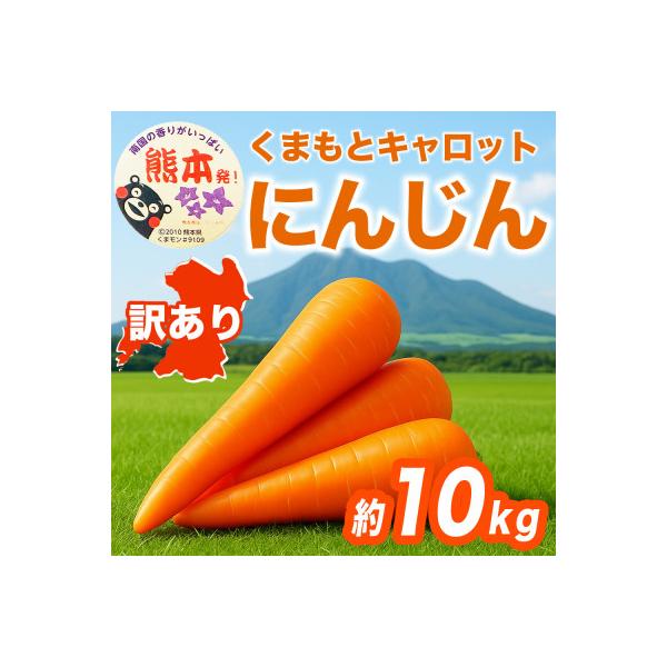 大津町 にんじん 訳あり 約10kg(大津町)