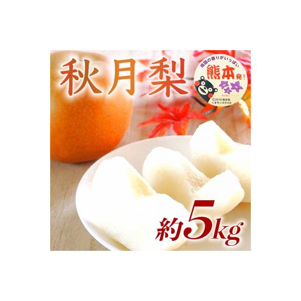荒尾市産 梨 約5kg