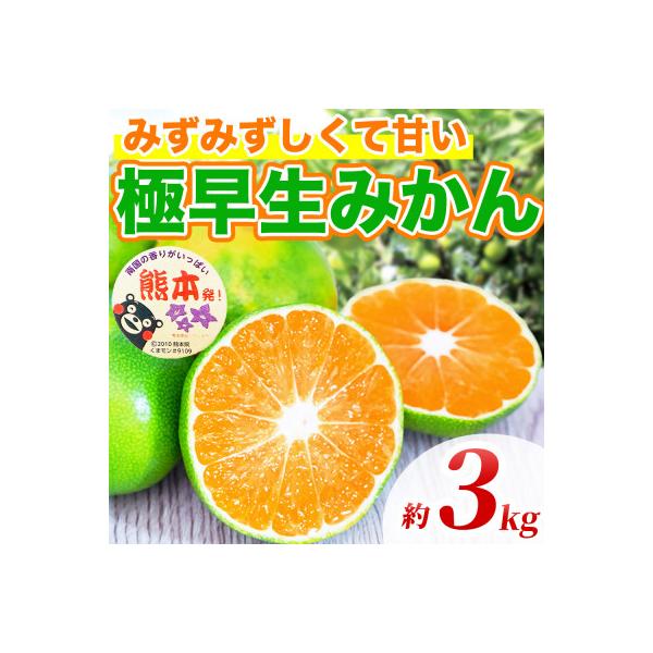 益城町産 みかん 約3kg