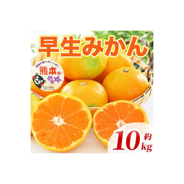 益城町産 みかん 約10kg