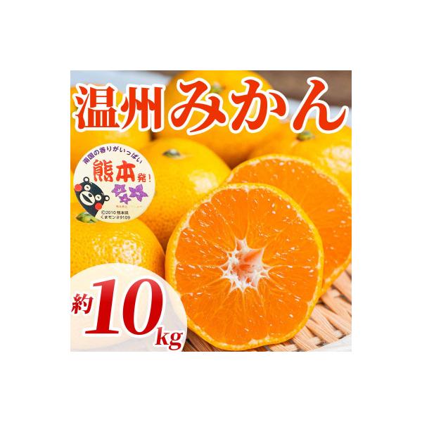 益城町産 みかん 約10kg