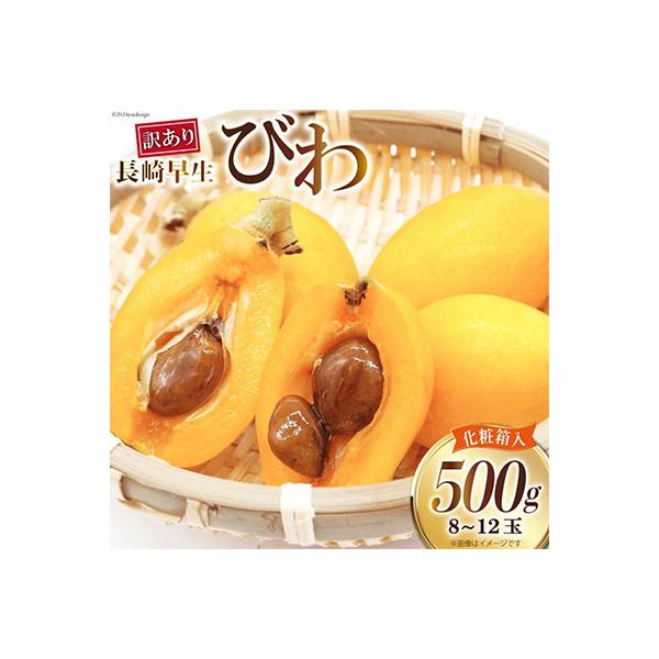 ふるさと納税 島原市 【訳あり】長崎びわ 500g 8玉〜12玉入り(L〜3Lサイズ)　AI208