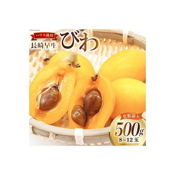 ふるさと納税 島原市 赤秀 長崎びわ 500g 8玉〜12玉入り(L〜3Lサイズ) AI209