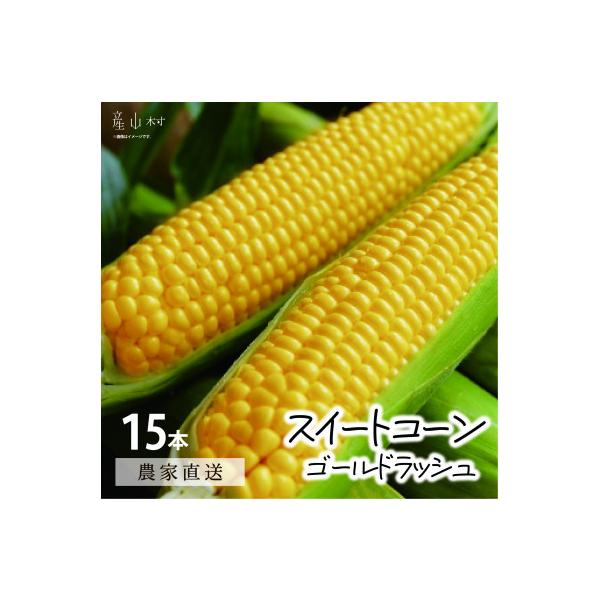 《先行予約》朝採れスイートコーン(ゴールドラッシュ)15本セット