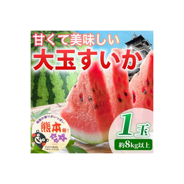 玉名市 【先行予約】 熊本県産 見た目にビックリ! 甘〜い♪ 大玉すいか 3L以上 1玉 約8kg
