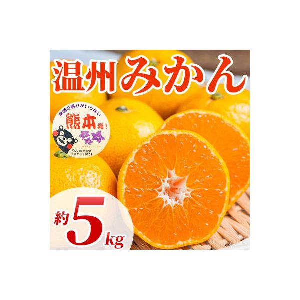 玉名市産 みかん 約5kg
