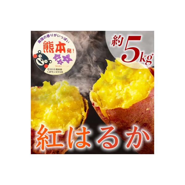 合志市産 さつまいも 約5kg