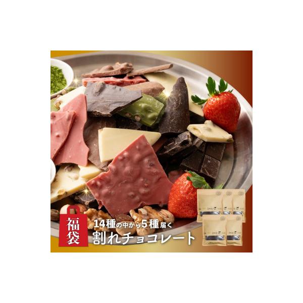 【訳あり】【福袋】割れチョコ14種類から5袋が届くお楽しみ(内容ランダム・180g×5袋)
