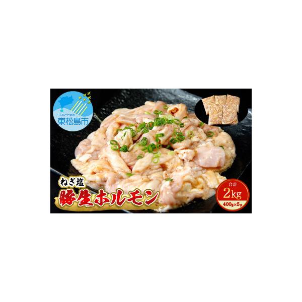 国産 豚 生ホルモン ねぎ塩味 2kg(400g×5パック)