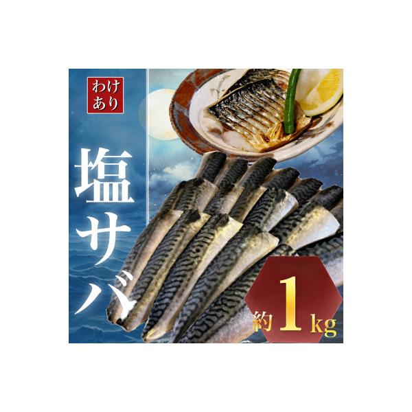 【訳あり】勝浦市の人気の海鮮お礼品 無添加 塩サバ 1kg